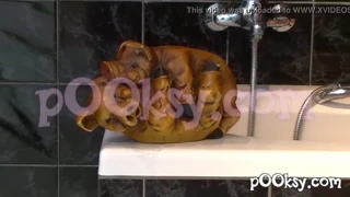 Porasla amaterska lepotica z gosto grmovino dobiva trd nagač v kopalnici 💦🍆