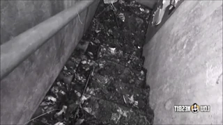 Does hardcore brutal pegging come from lou nesbit Lia Louise