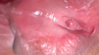 What happens to amateur pink pussy 336 days after losing her virginity?