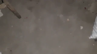 真实