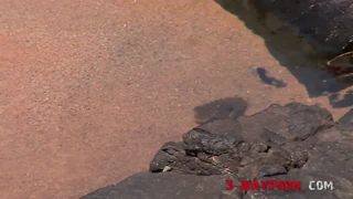 Wow! What a Wild 3-Way on the Beach with Double Action!