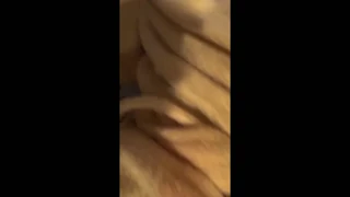 Friends penetrate wife in ass