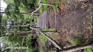 Sveltina - Incontri Veloci in Video Sessuali