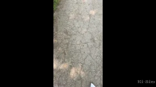 ki-sim sucking off a stranger on the street not fake