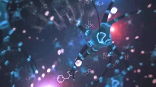 يا صديقي، شاهد بيلا روسي وسوفيا لوك في مباراة مصارعة ليزبية شرسة مع أكل كس جامح!