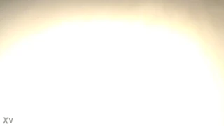 I Love Busty Amateurs And Hard Anal Sex