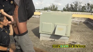 Horny milfs are riding this big black shlong like real pornstars
