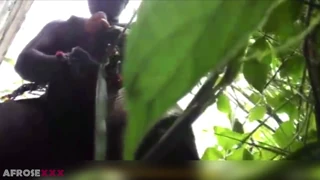 Γλυκιά μαύρη κοπέλα χτυπάει την υγρή της πούτσα σε εξωτερικό χώρο