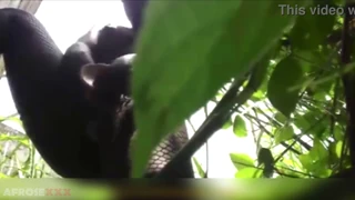 Söpö ebony tyttö paukuttaa märkää pussyään ulkona