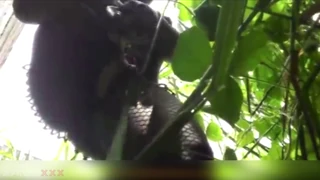 Linda Negra Fodendo Buceta Molhada ao Ar Livre