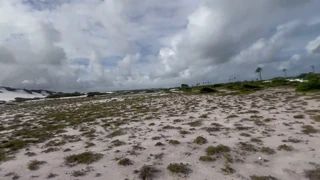 Meni hiekkaiseen autiomaahan villiin PUTARIAan latinalaisten kanssa